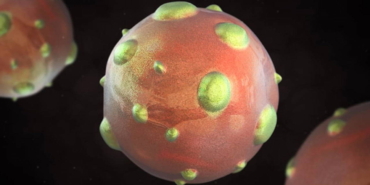 1997den-sonra-yeniden-gundemde-hantavirus-pandemiye-donusur-mu-NkeyV7EJ.jpg