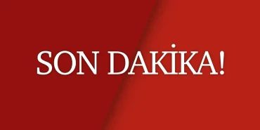 ibb-sorusturmasi-kapsaminda-agac-ve-peyzaj-asye-operasyon-30-kisi-hakkinda-gozalti-karari-xkTmuWxy.webp
