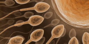 kisirlik-tedavisinde-yeni-teknoloji-yapay-zekayla-sperm-bulunuyor-cjzXhxzX.jpg