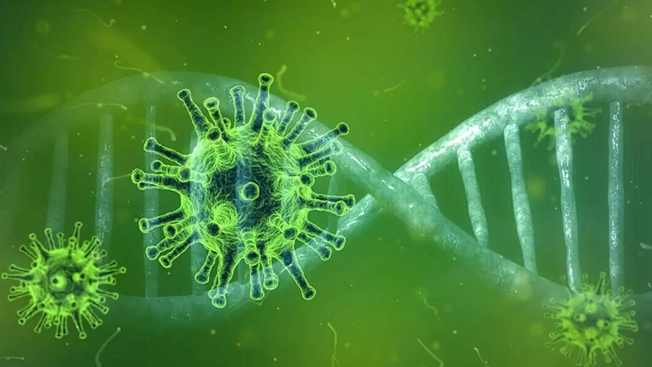 ttb-baskani-prof-dr-azaptan-kritik-hantavirus-degerlendirmesi-yeni-bir-pandemi-riski-var-mi-dtBPBtBe.jpg