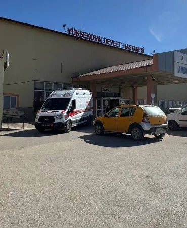 yuksekovada-meydana-gelen-patlamada-coban-yaralandi-3-koyun-telef-oldu-4qIZ3NeS.webp