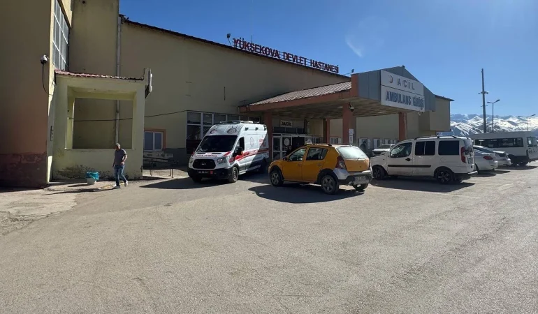 yuksekovada-meydana-gelen-patlamada-coban-yaralandi-3-koyun-telef-oldu-4qIZ3NeS.webp